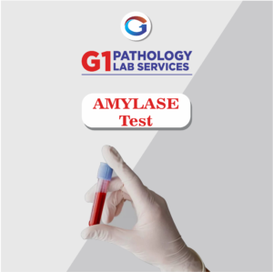 Amylase