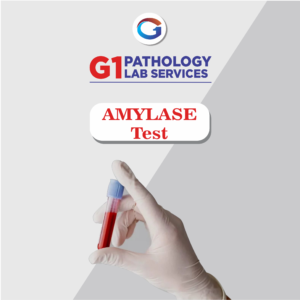 Amylase