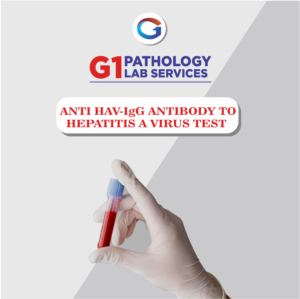 Anti Hav – Igg Antibody To Hepatitis A Virus
