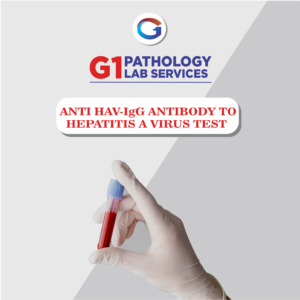 Anti Hav – Igg Antibody To Hepatitis A Virus