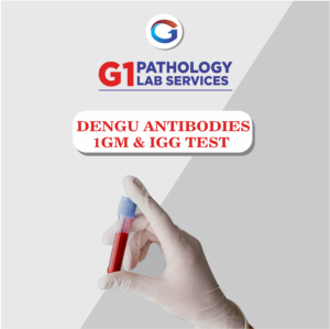 Dengue Rapid Test (IgG/IgM)