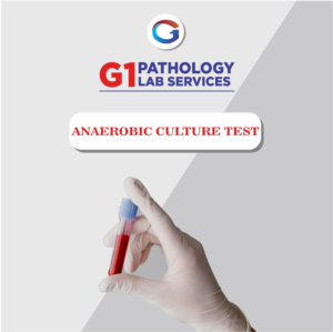 Blood Culture (Anaerobic)