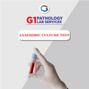 Blood Culture (Anaerobic)