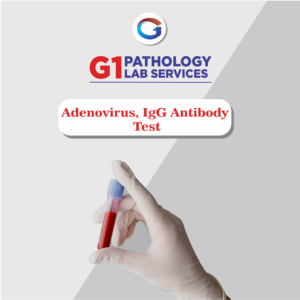 Adenovirus Igg Antibody