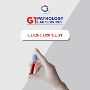 Cd19/Cd20