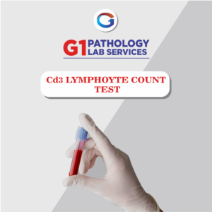 Cd3 Lymphocyte Count