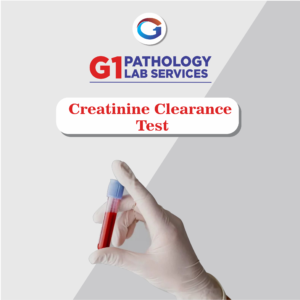 Creatinine Clearance Test